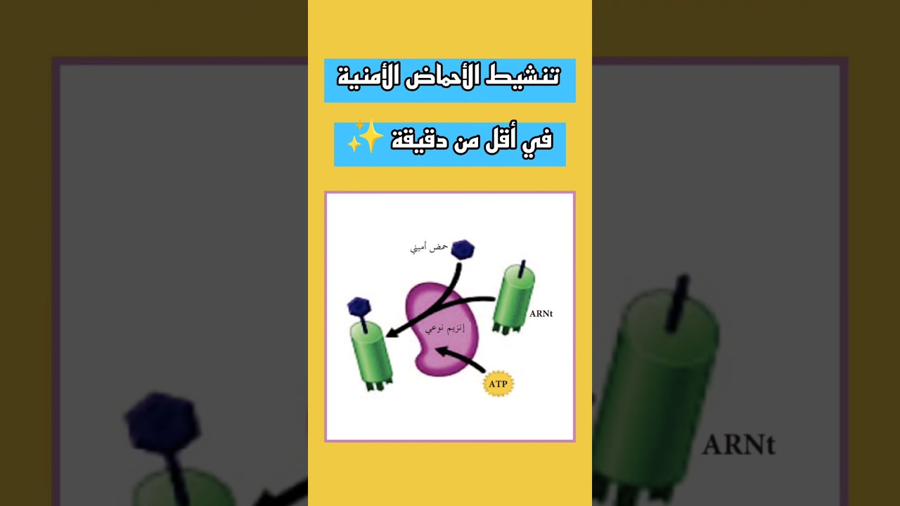 تنشيط الأحماض الأمنية في أقل من دقيقة ✨ .