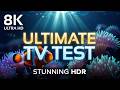 8K Ultra HD Underwater Paradise | Ultimate HDR TV Test Video