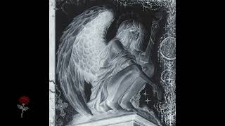 akiaura - Deathwish (N4TE Remix)