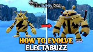How To Evolve Electabuzz Into Electivire In Pokemon Scarlet & Violet The Indigo Disk Dlc