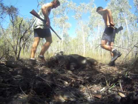 NT NORTHERN TERRITORY FISHING HUNTING tacklethetopend....