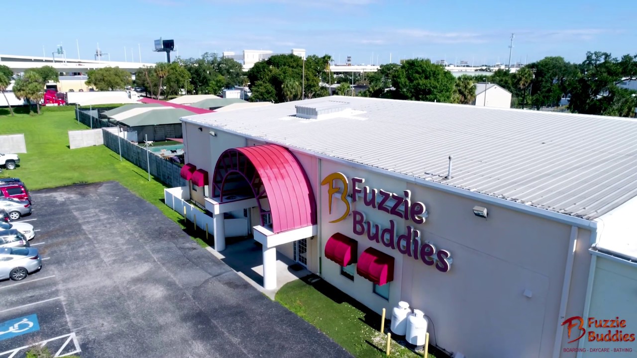 Fuzzie Buddies Pet Boarding Location in Tampa YouTube