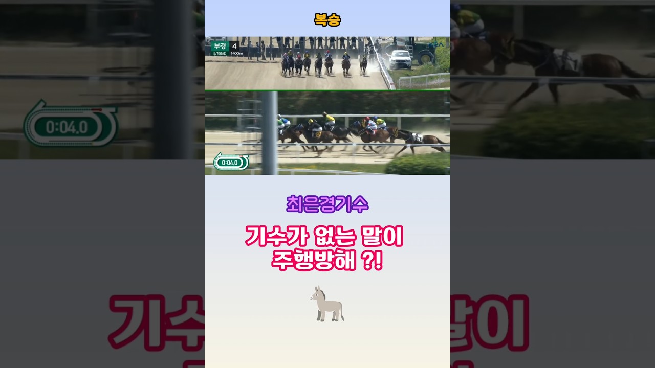 [경마] 일년에 한번 사는 복승배팅에 이런 일이~