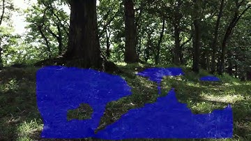 Semantic Segmentation New Environment