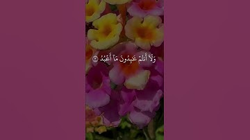 تلاوة خاشعة من سورة الكافرون ✨ صوت المنشاوي يخشع له القلب #اكسبلور