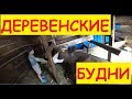 Деревенские будни / Созрела кукуруза / Заказали гуся / А к бабе Тане поедем?