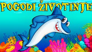 Pogodi Morsku Životinju Edukativni Crtani Za Djecu Učimo Morske Životinje Pepi Tv