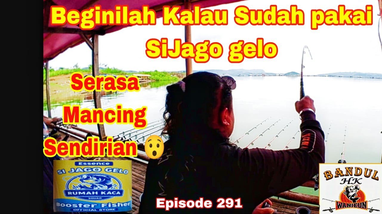 🔴Beginilah kalau sudah pakai Sijago Gelo || Serasa Mancing Sendirian 😯😯‼️ #  Episode 291