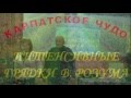 Органические грядки (Б. А. Бублик)