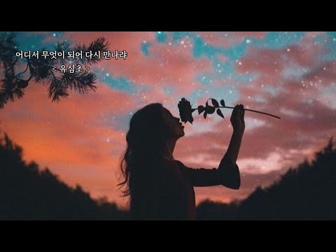 어디서 무엇이 되어 다시 만나랴 유심초 1981年