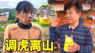 【合集】搞笑农村：母老虎发现藏酒图，故意支开老头，没想到他竟跑去喝酒了【李叮长】#家庭 #搞笑