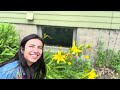 Nandomaandan Sniff It Smell For It Ojibwe Word Of The Day Nandomaandan Sniff It Smell For It Ojibwe Word Of The Day