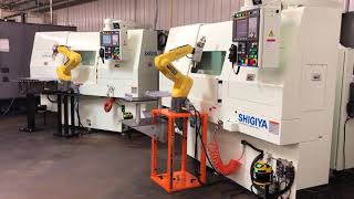 Fanuc Grinding Cell