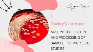 PMLS2-M20/21: COLLECTION AND PROCESSING OF SAMPLES FOR MICROBIAL STUDIES (PART 1)
