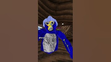 Day 2 of Joining My Fan Code Until 100 subs #gorillatag  #vr  #shorts