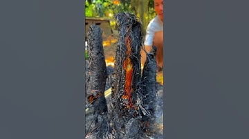 Mời Mọi Người Ăn Cá Lóc Nướng Chui Với AE Mình Nhé #shorts #food