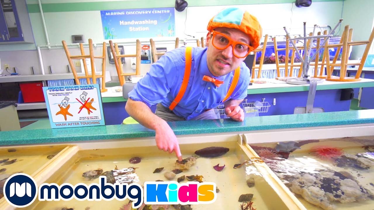 Blippi Visits Point Defiance Zoo/Aquarium | 