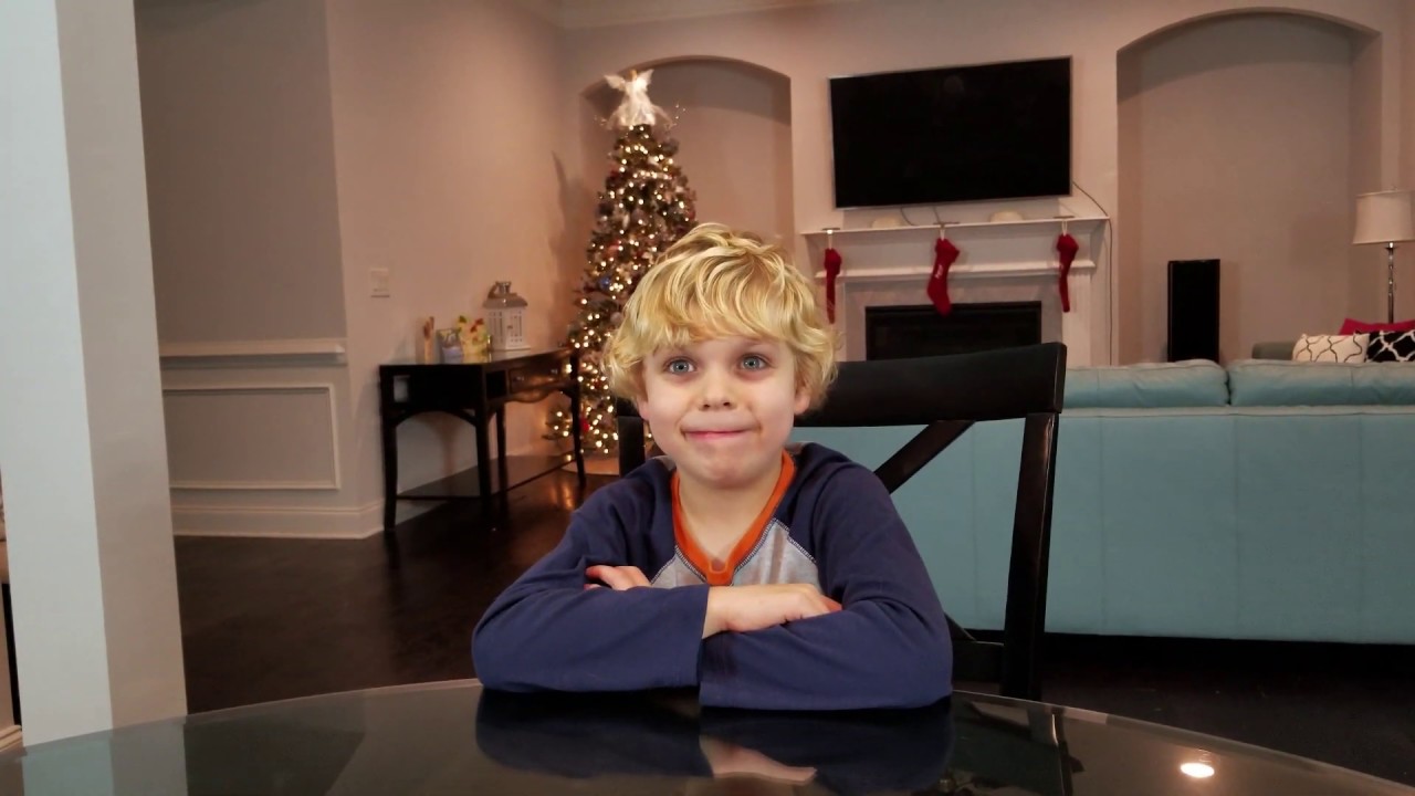 Chase is Home Alone. Family Christmas video 2017