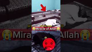 Miracle Of Allahالله اكبرﷻShortvideoviralvideoviralshortshortsallahviral