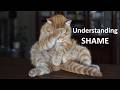 Understanding Shame
