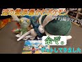 【ポケモンセンター】冠の雪原で大好きになったあの子をゲットしてきました！【ポケモン】