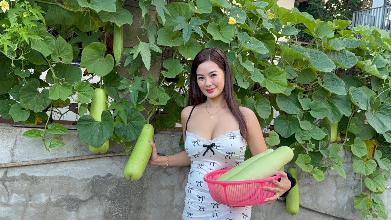 Harvest Fresh UPO sa bakuran 🥰