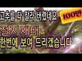 고추 재활용 농법, 절지재배, 3년간에 경험을 "Full" 영상으로 올립니다