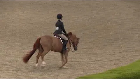 Video of FOXMOR SECRET POWERS ridden by JILL SHULM...