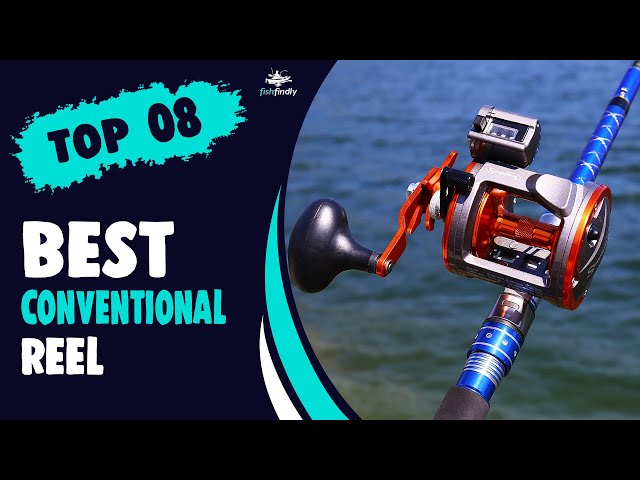Best Conventional Reel – Suggested by Expert's! 