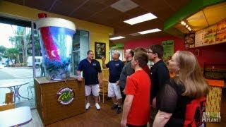 Reveal Tropical Smoothie Tank Tanked