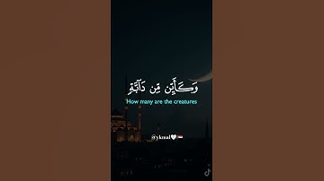 سورة النحل القارئ فارس عباد