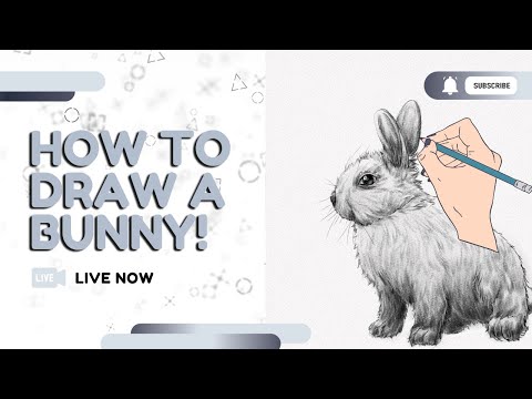 How to Draw Anime Eyes – Step-by-Step Tutorial – Artlex