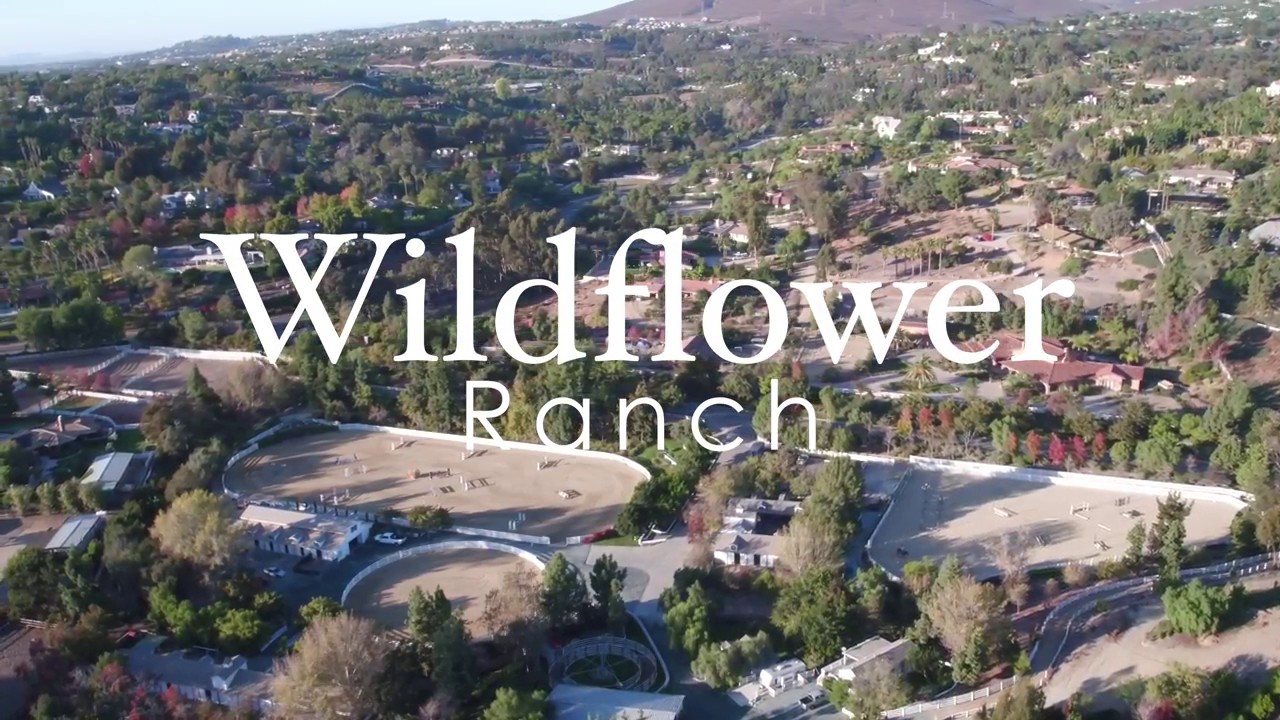 Wildflower Ranch, Olivenhain YouTube