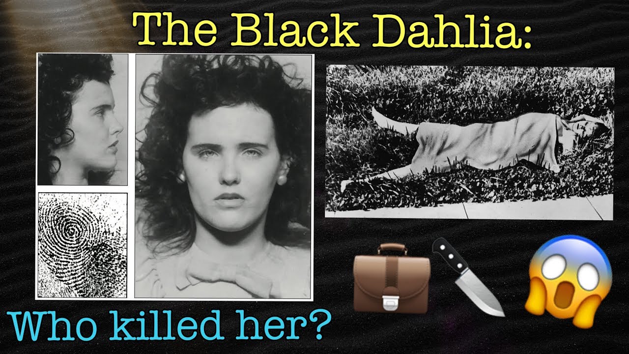 Top 10 Interesting Facts In The Unsolved Case Of The vrogue.co