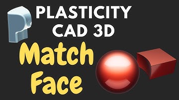 Plasticity Match Face