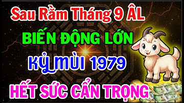 Tuổi Kỷ Mùi 1979 Sau Rằm Tháng 9 Âm Lịch: Biến Động Lớn Kéo Tới, Cần Hết Sức Cẩn Trọng!
