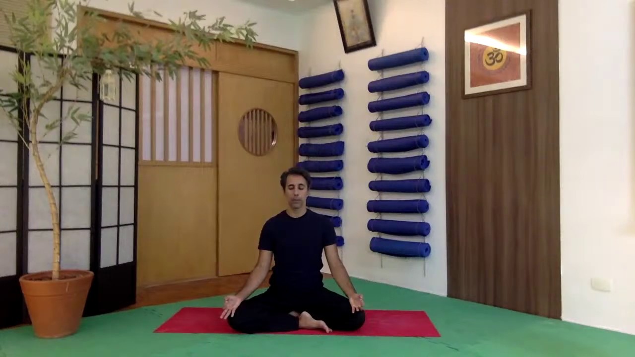 LIVE CLASS de Dharma Vinyasa Yoga 5 YouTube