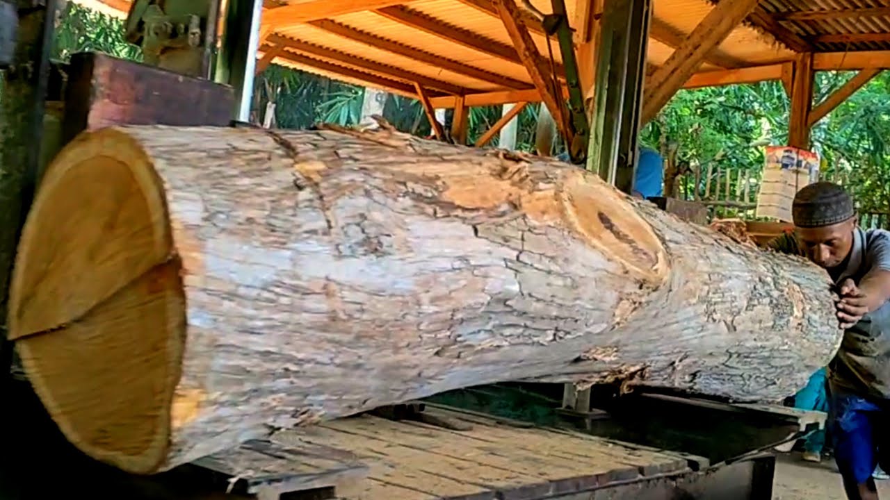 processing teak wood into furniture beams and boards - YouTube