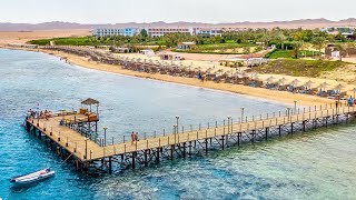 Coral reef Egypt Marsa Alam hotel Fantazia Resort Red Sea Part 1