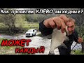 Посмотри это видео и ЕЗЖАЙ ТУДА! Как провести КЛЕВО выходные? Старица