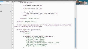 jQuery: Basic Animation and Effects