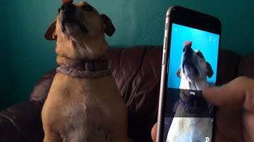 Unlimited Snapchat Text