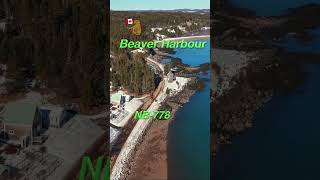 🌎Canada’s Hidden Coastal Gem: Beaver Harbour 🇨🇦
