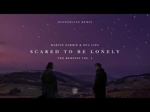 Martin Garrix &