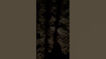 Oi Oi no Firework photography #Shorts #shortsfeed #youtube #subscribe #viral #shortsbeta #nature