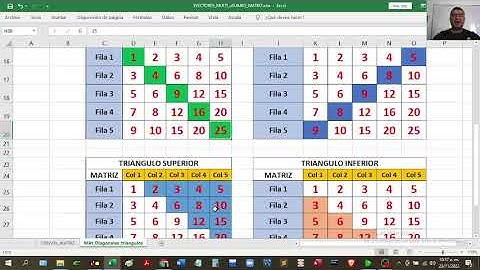 PSEint #17  Algoritmo que lea una matriz de N * N  y halle la suma de la diagonal principal,  secund