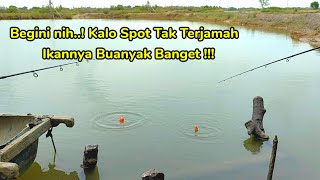 Spot Baru !! Ternyata Banyak Banget Ikannya - Mancing Kakap Putih Ditambak