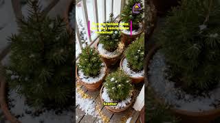 10 Natural Winter Wonderland Outdoor Decor Ideas Cozy Holiday Style