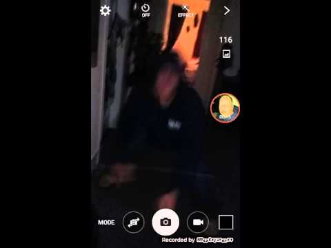 Playin With Dog With Acoon Magroon