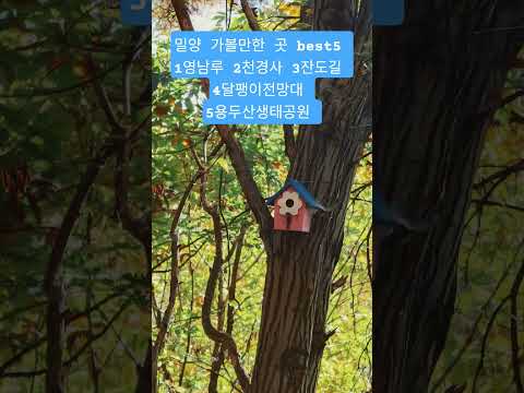 #밀양가볼만한곳#영남루#천경사#잔도길#달팽이전망대#용두산생태공원#밀양여행#밀양명소#밀양잔도길#국내여행